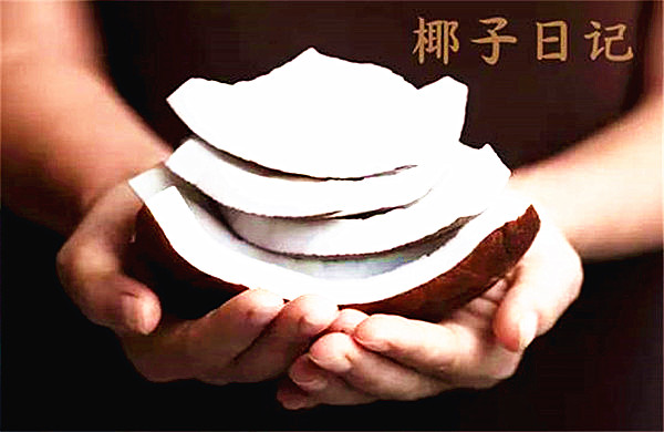 椰子日记