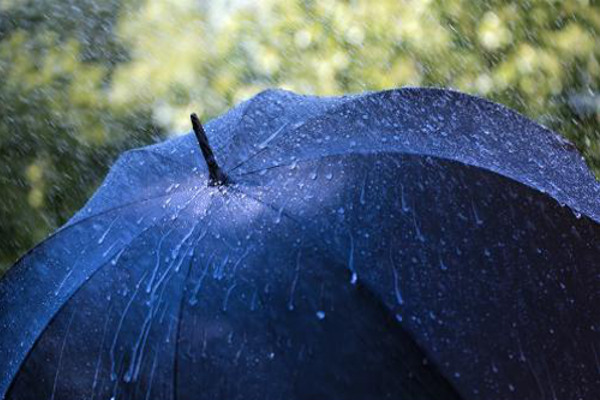 蓝雨伞加盟费