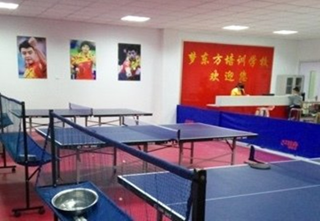 梦东方乒乓球加盟费