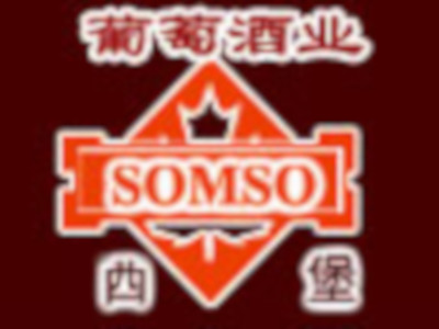 西堡somso加盟费