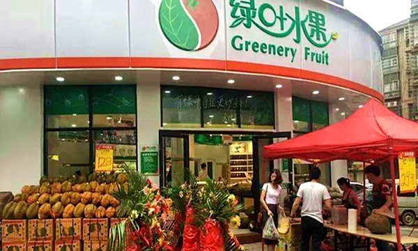 绿叶水果