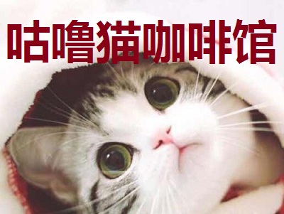 咕噜猫咖啡馆加盟