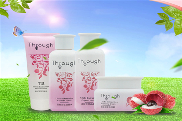 ThroughT透加盟费