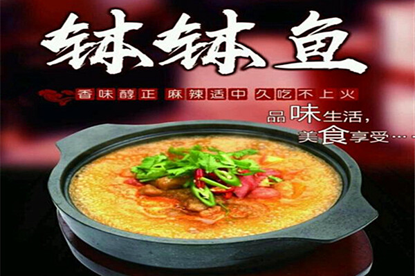 钵钵鱼加盟费