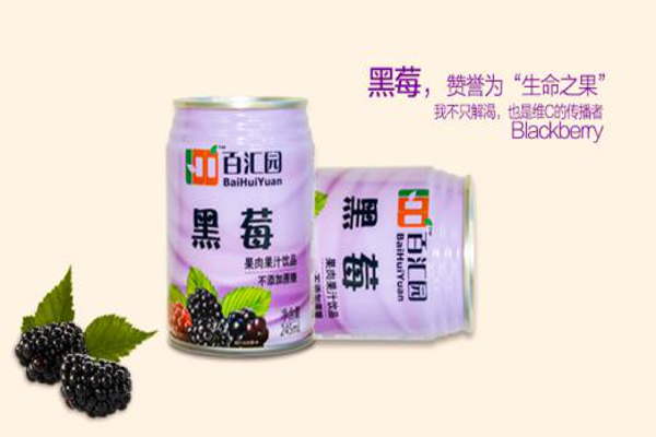 百汇园加盟费