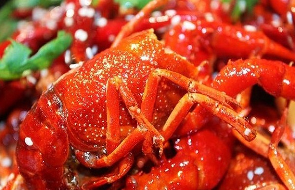 油焖大虾加盟费