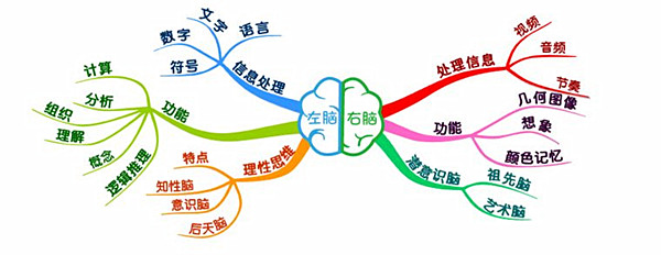 全脑教育加盟门店