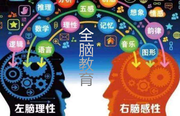 全脑教育加盟门店