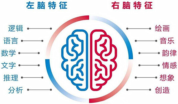 全脑教育加盟