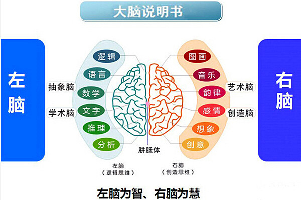 全脑教育加盟