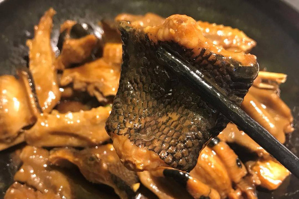蛇肉火锅店加盟费