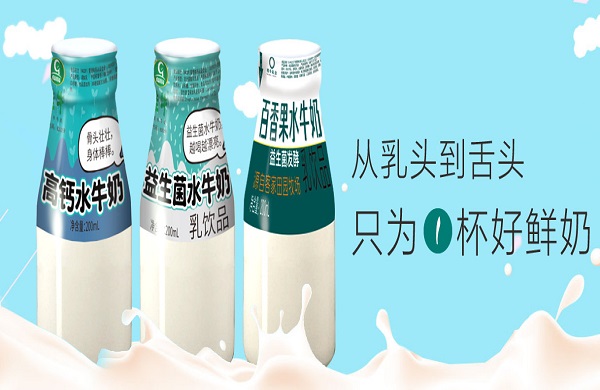 桂牛牛奶加盟费