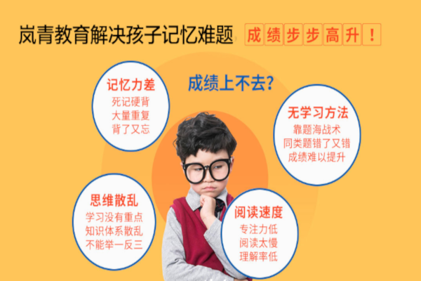 岚青教育加盟费