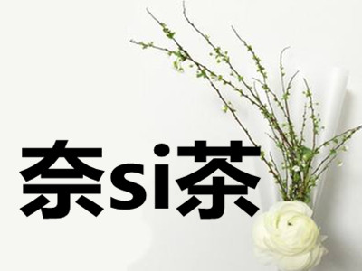奈si茶加盟费