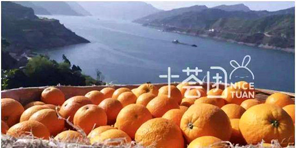 十荟团
