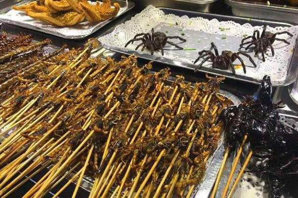 昆虫小吃