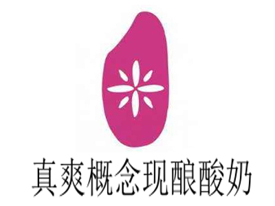 真爽概念现酿酸奶加盟
