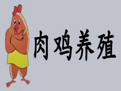 肉鸡养殖加盟费