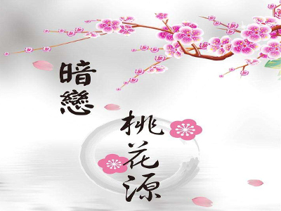 暗恋桃花源餐厅加盟电话