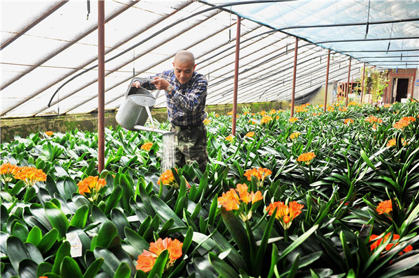 花卉种植加盟店