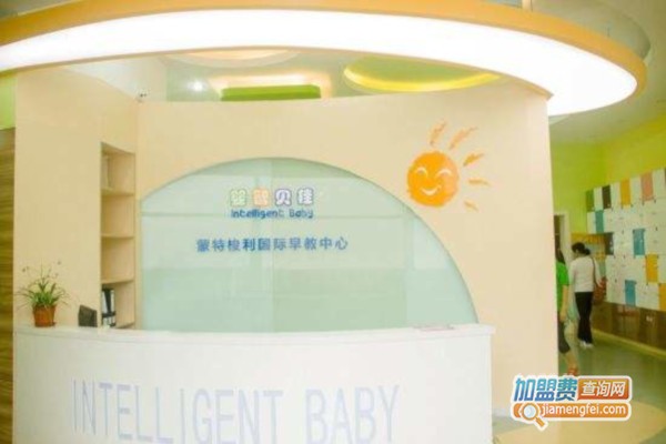 婴智贝佳国际早教中心加盟费