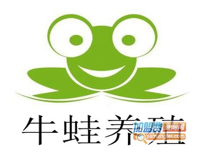 牛蛙养殖加盟费