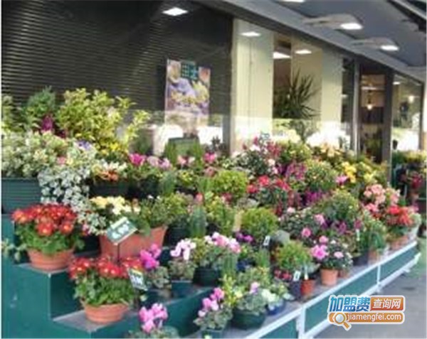 花先生花店加盟店