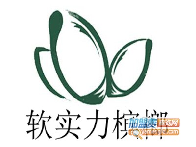 软实力槟榔加盟费