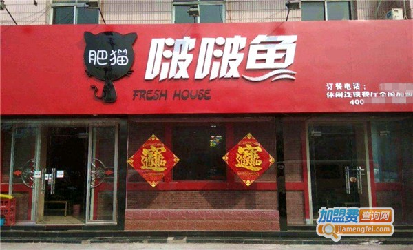 肥猫啵啵鱼加盟门店