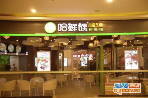 哈鲜族加盟费