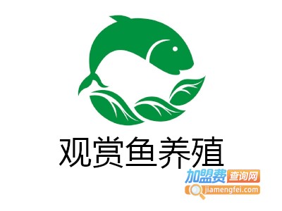 观赏鱼养殖加盟