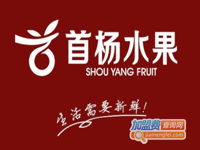 首杨水果加盟电话