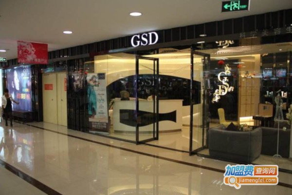 gsd科学美容生活馆加盟费