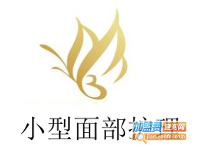 小型面部护理加盟费