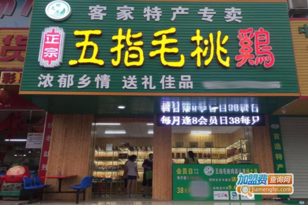 五指毛桃鸡加盟费