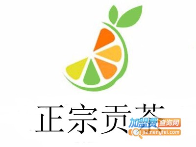 正宗贡茶加盟费