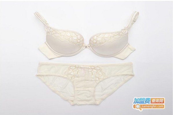 品牌女士内衣加盟费