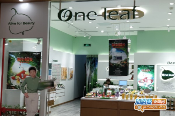 一叶子面膜加盟费多少