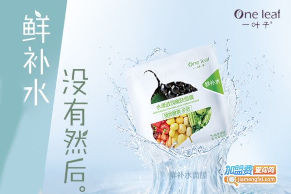 一叶子面膜加盟费