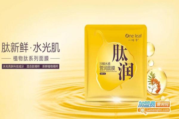 一叶子面膜加盟费多少