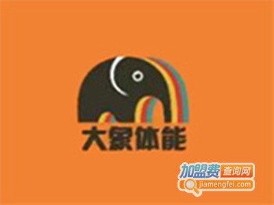 大象体能儿童运动馆加盟