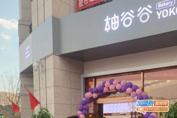 柚谷谷加盟费