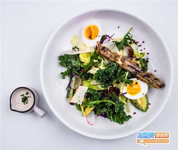 一食助型加盟费