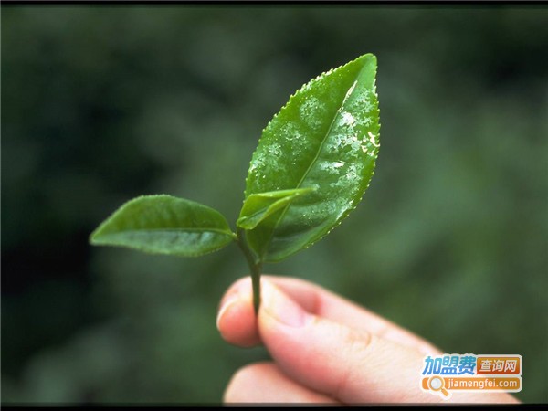 德源祥茶叶加盟店