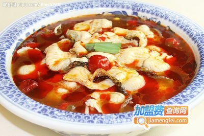 沸腾鱼加盟费