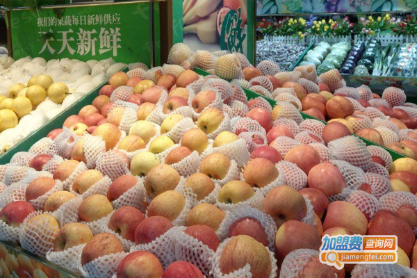 果蔬连锁加盟费