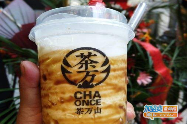 茶万山加盟费