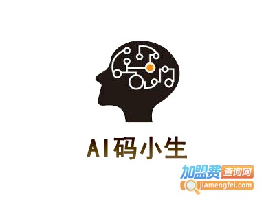 AI码小生加盟费