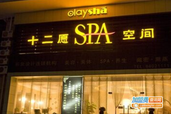 12愿SPA空间加盟费