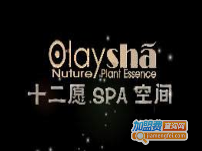 12愿SPA空间加盟费